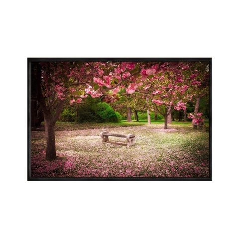Quadro Decorativo - Parque Banco com Flores de Cerejeiras Flnt022 - Vidro com Impressão Uv - 80x60cm