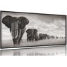 Quadro Decorativo Manada Elefante 130x60 Moldura Preta 2x2 - 1