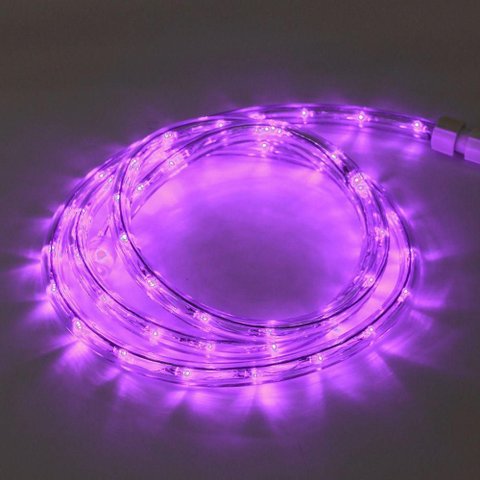Corda Luminosa LED Taschibra 30 Leds 110V Alta Proteção Cores | Rosa