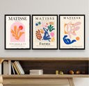 Ver imagem 2 de Kit 3 Quadros Abstratos Formas De matisse 24x18cm - com Vidro:madeira Branca