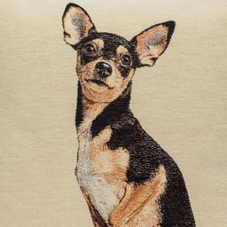 Capa de almofada Pinscher - 2