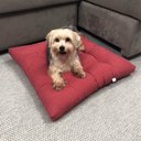 Ver imagem 4 de Oadafomla tep Aop - AmourPet - Vermelho