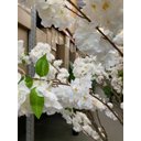 Ver imagem 5 de Árvore Artificial Cerejeira Branca Grande para Decoração com 2.50m, Planta Decorativa para Eventos