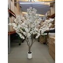 Ver imagem 3 de Árvore Artificial Cerejeira Branca Grande para Decoração com 2.50m, Planta Decorativa para Eventos