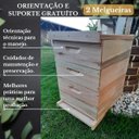 Ver imagem 4 de Caixa Abelha Padrão Langstroth Eucalipto 2 Melgueiras Kit Arame e Ilhos -