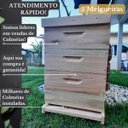 Ver imagem 5 de Caixa Abelha Padrão Langstroth Eucalipto 2 Melgueiras Kit Arame e Ilhos -