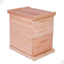 Ver imagem 2 de Caixa Abelha Padrão Langstroth Eucalipto 2 Melgueiras Kit Arame e Ilhos -