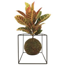 Suporte Cubo P para Kokedama (15x15x15) Preto Jc Jardim - 5