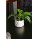 Ver imagem 3 de Cachepot de Cimento com Planta Artificial Prisma Branco 10cm X 26cm