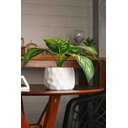 Ver imagem 4 de Cachepot de Cimento com Planta Artificial Prisma Branco 10cm X 26cm