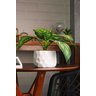 Cachepot de Cimento com Planta Artificial Prisma Branco 10cm X 26cm - 4