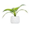 Cachepot de Cimento com Planta Artificial Prisma Branco 10cm X 26cm - 2
