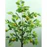 Arvore Planta Verde Premium Limão Siciliano 120cm Folhagem - 6