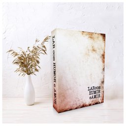 Caixa Livro Porta Objeto Lar com Humor e Amor 18x25x5cm - 2
