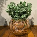 Ver imagem 4 de Arranjo Centro Mesa Verdinho Eucalipto Artificial Completo