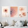 Kit 3 Quadros Fotos Modernas Flores Tons Pêssego 33x24cm - com Vidro:moldura Preta - 2