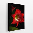 Ver imagem 2 de Quadro Amarilis Flor da Imperatriz Vermelha Canvas 100x70cm