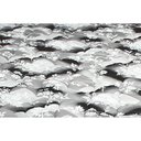 Ver imagem 4 de Colchão Casal Luckspuma Espuma D33 Supreme Pró Saúde Black (138x188x20) -