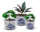 Ver imagem 1 de Kit 3 Vasos Cerâmica Conjunto C/ Pires Azul E Branco
