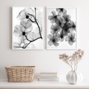 Ver imagem 2 de Kit 2 Quadros para Sala Florais Transparentes 24x18cm - com Vidro:madeira Preta