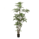 Ver imagem 1 de Arvore da Felicidade em Pote Pva -2,50m | Formosinha