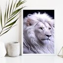 Ver imagem 2 de Quadro Decorativo Leão Branco 33x24cm - com Vidro:madeira Preta