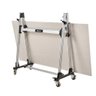 Sistema de Transporte Infinity Cortag, 300 Kg - 2