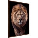 Ver imagem 4 de Quadro Decorativo Leão Judá Moldura Cx Alta 100x66 Titulo Moldura Madeira