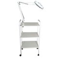 Ver imagem 1 de Carrinho Auxiliar com Luminária e Exaustor para Podologia Fiscomed Carrinho e Exaustor para Podologi