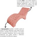Ver imagem 5 de Recamier Divã Espreguiçadeira para Sala e Cliníca Estética Queila Suede:coral