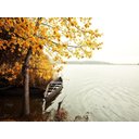 Ver imagem 1 de Papel De Parede Lago Canoa Árvore Outono 3D Nlk136