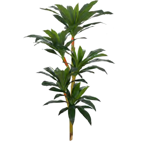 Planta Árvore Artificial Dracena Real Toque X81 Verde 1,25m