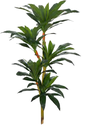 Ver imagem 1 de Planta Árvore Artificial Dracena Real Toque X81 Verde 1,25m