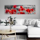 Ver imagem 1 de Quadro Panorâmico Flores Vermelhas No Chassi 120X35Cm