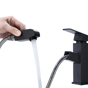 Torneira Preta Extensível para Banheiro com Misturador Monocomando Aço Inox304
