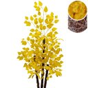 Ver imagem 1 de Ficus Amarelo Figueira Artificial sem Vaso Decorativo