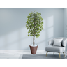 Planta Artificial Ficus Verde 2,10m kit + Vaso Redondo D. Grafiato Marrom 40cm - 2