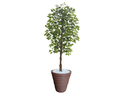 Ver imagem 1 de Planta Artificial Ficus Verde 2,10m kit + Vaso Redondo D. Grafiato Marrom 40cm