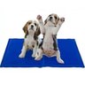 Tapete Gelado Pet Cao Cachorro Gato Colchonete Refrescante Sol Verao Calor Macio Confortavel Animais - 9