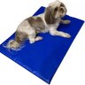 Tapete Gelado Pet Cao Cachorro Gato Colchonete Refrescante Sol Verao Calor Macio Confortavel Animais - 8