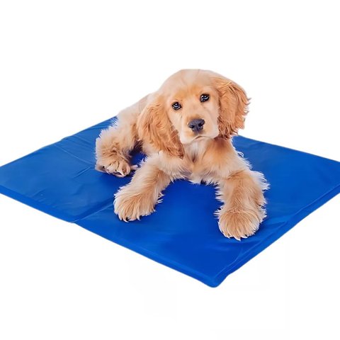 Tapete Gelado Pet Cao Cachorro Gato Colchonete Refrescante Sol Verao Calor Macio Confortavel Animais