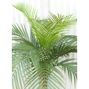 Ver imagem 2 de Arvore Tropical Planta Palmeira Fênix 15 Folhas 155cm Grande