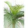 Arvore Tropical Planta Palmeira Fênix 15 Folhas 155cm Grande - 2