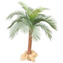 Ver imagem 1 de Arvore Tropical Planta Palmeira Fênix 15 Folhas 155cm Grande