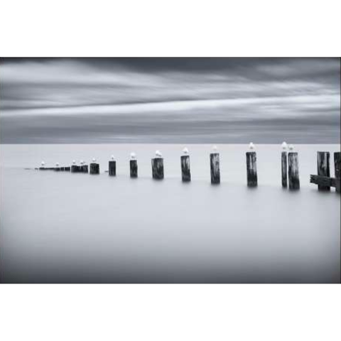 Stilts And Gulls Canaleta 80x53cm Preta