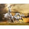 Papel De Parede Cavalos Brancos Correndo 3D Anm100 - 2
