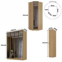 Ver imagem 7 de Guarda Roupa Modulado 2,40m Portas Reflecta C/ Led 100% Mdf Cor:olmo