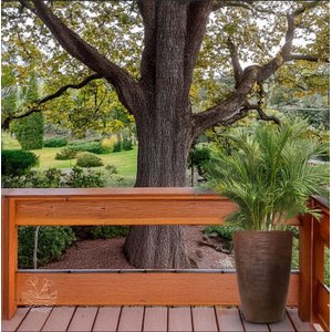 Vaso para Plantas - Veneza 38cm Largura X 55cm Altura