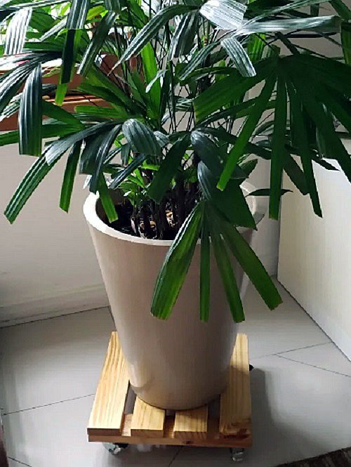 Suporte Para Vasos De Plantas Com Rodinhas 40x40 Cm - 4