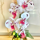 Ver imagem 5 de Arranjo Orquídeas Artificiais Realista Silicone Flores Vaso